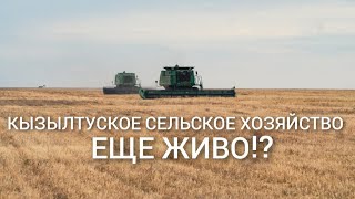 картинка: Сельское хозяйство Северного Казахстана. О том, как работает ТОО 