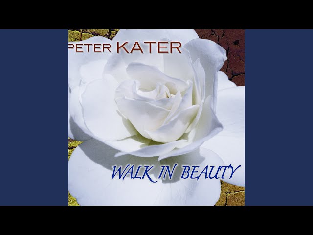 Peter Kater - Find Me