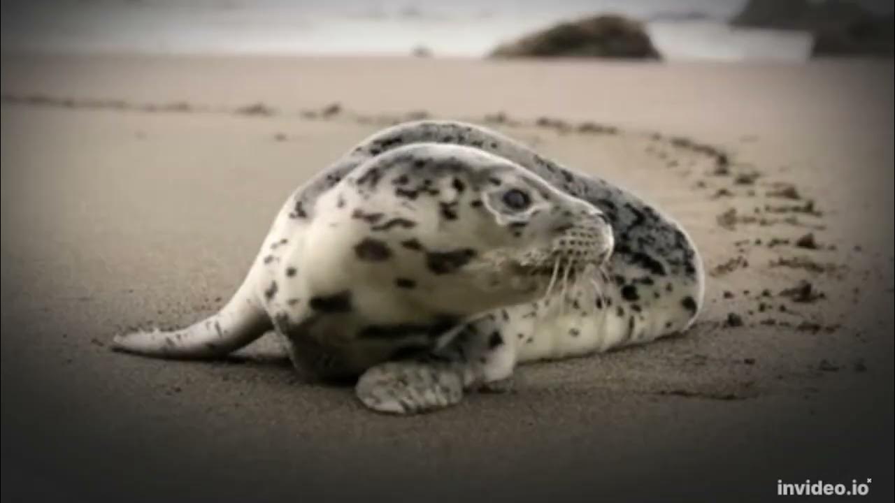 How Does Time Travel and Time Machine Work? YouTube