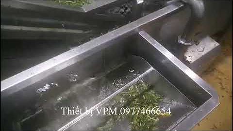 Dây chuyền rửa rau tự động