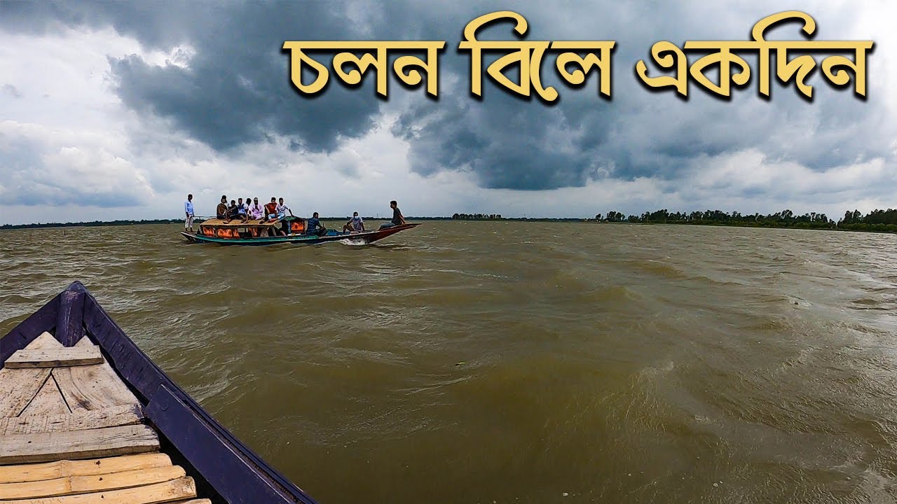 নাটোরের চলন বিলের চালচিত্র || Chalan Beel || Natore