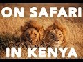Photo Safari in Kenya! A Photographer In | Taylor Jackson