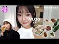 VLOG , in Korea | seoul 🇰🇷1泊2日韓国出張旅での食べすぎ記録