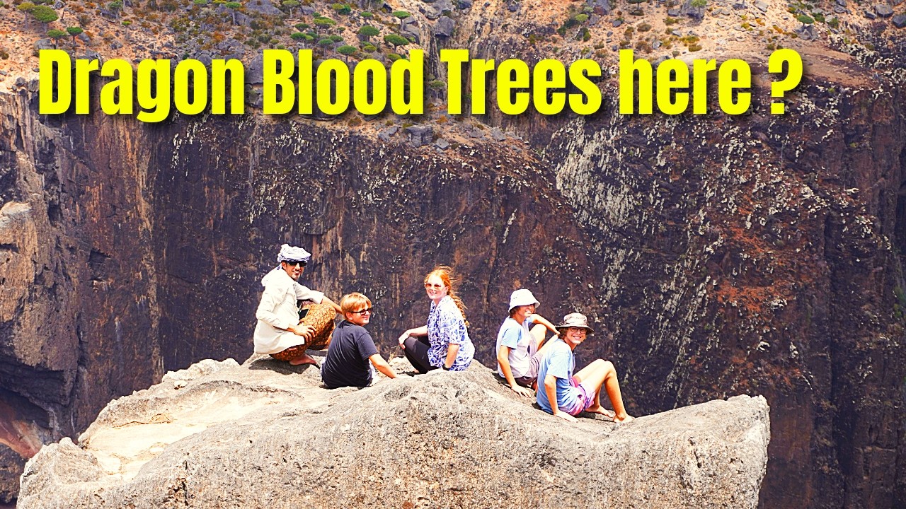 ⁣Sailing to Socotra: Dragon Blood Trees, Sunrise Summits & the Gulf of AdenTransit Ep246