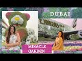 MIRACLE GARDEN, el jardín de flores  naturales más grande del mundo. DUBAI.
