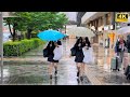 【4K HDR】 8 Hours Rainday Walk in Ginza (銀座) Tokyo Japan | Rain sounds for sleep | Rain on Umbrella