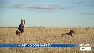 Hunting dog safety reminders ahead of hunting season