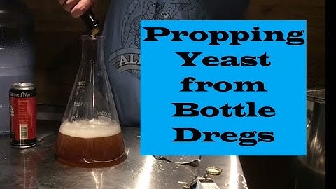 Propping Yeast Dregs from a Bottle