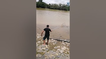 Lên cá tra cá chim cùng lúc luôn //điểm câu tại phước lộc nhà bè