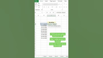 Convert a Date to the Weekday #excel #exceltips #exceltricks #spreadsheets #tutorial #sheets #text