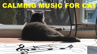 2 hours of relaxing music for cats with piano  ( cat tv ) by Cats MeWow 18 views 3 years ago 2 hours
