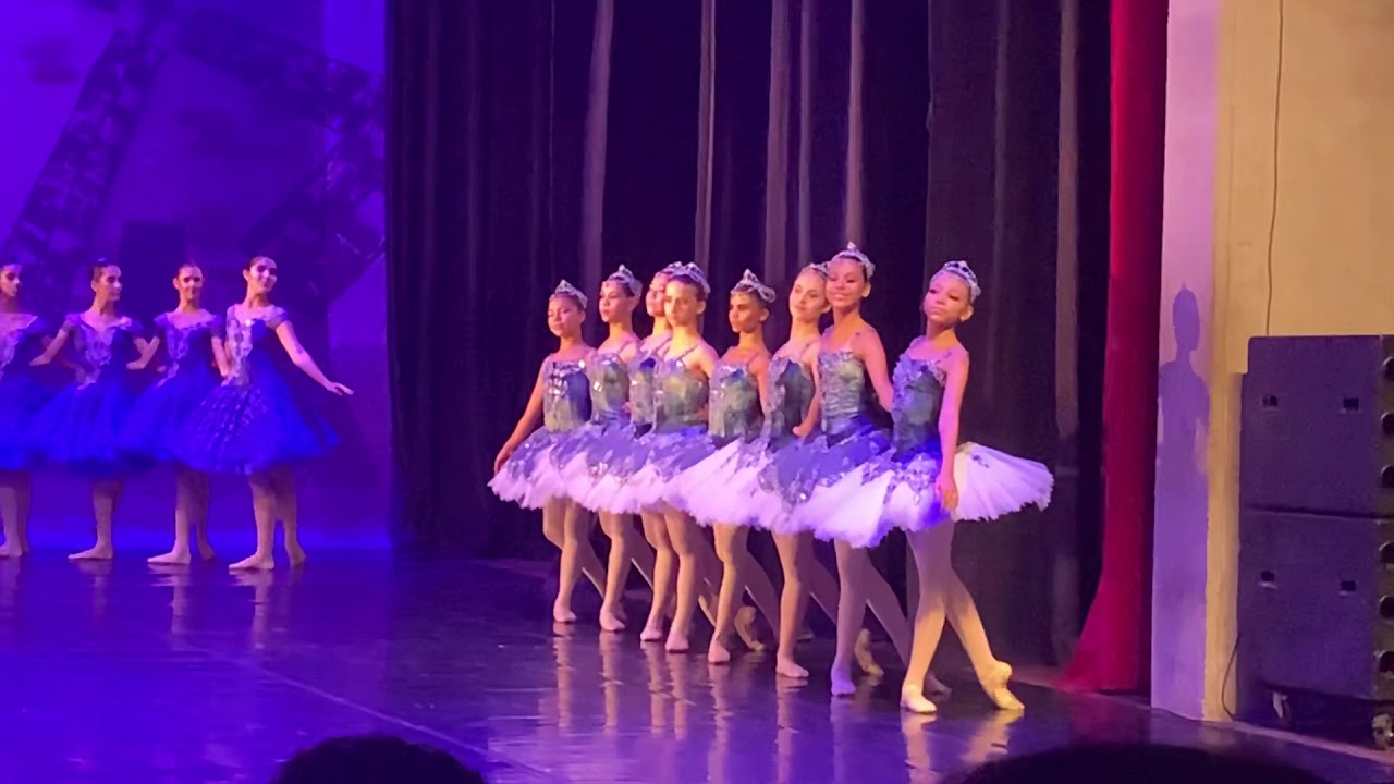 Sonho - Dom Quixote - Teatro Basileu França - Goiânia - Curso YAGP