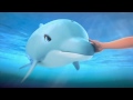 Saving the Dolphins  - LEGO Friends - Mini Movie