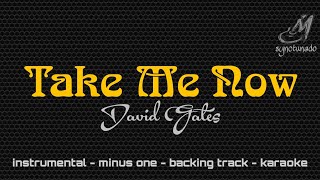 TAKE ME NOW [ DAVID GATES ] INSTRUMENTAL | MINUS ONE