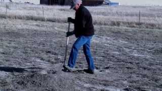 How to Survey for Prairie Dogs Using the Line Transect Method