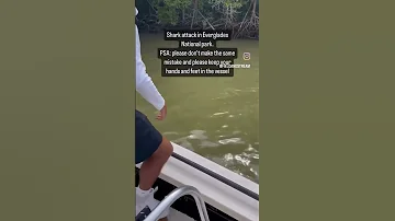 KEEP YOUR BODY PARTS ON THE BOAT MUST SEE WHY Amazing Shark Attack Water Salt Human 