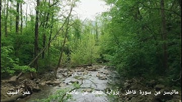 ماتيسر من سورة فاطر    عمر أفست