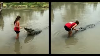 Insane Animal Videos Caught On Camera In Under 13 Minutes