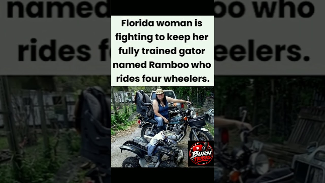 Florida Woman Fights to Keep Her ATV-Riding Alligator: 'He's Not a Normal Gator #shorts