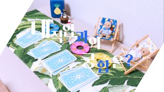 직업운의 흐름은?  (부제: 현재의 내 직업과의 궁합은?) [ 타로카드 | 픽어카드 | 타로리딩 ]