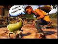 I Tamed A Wild Aphid in 2026 | A SHORT STORY