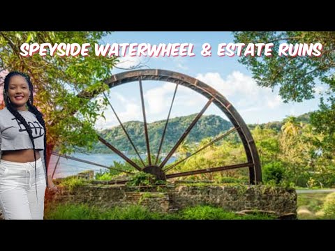 Tour of the Historic Speyside Waterwheel and Estate Ruins | Trinidad Youtuber