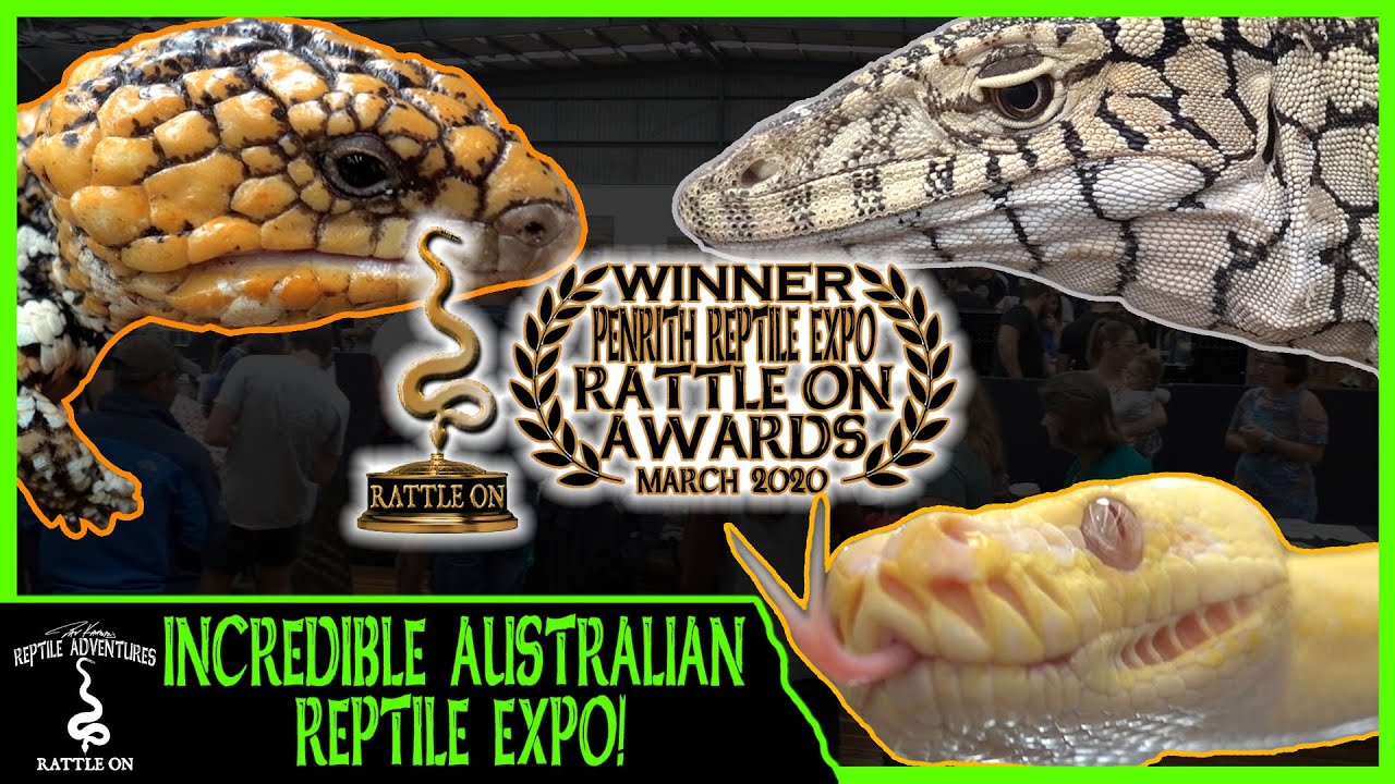 INCREDIBLE AUSTRALIAN REPTILE EXPO! (Penrith Reptile Expo, March 2020