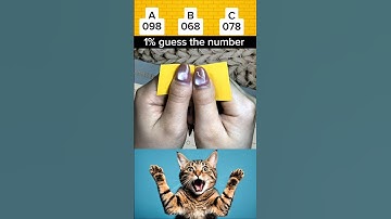 How Many Secrets Are Hidden in This Number? #shorts