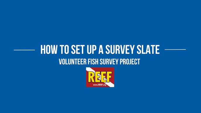5 Ways To Prepare A Survey Slate For Marine Surveying 2024