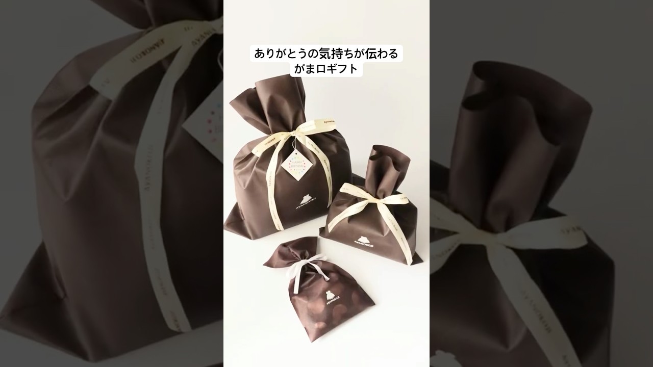 ○【ギフト資材(巾着袋)】 [M便 1/4] | がま口の専門店 AYANOKOJI