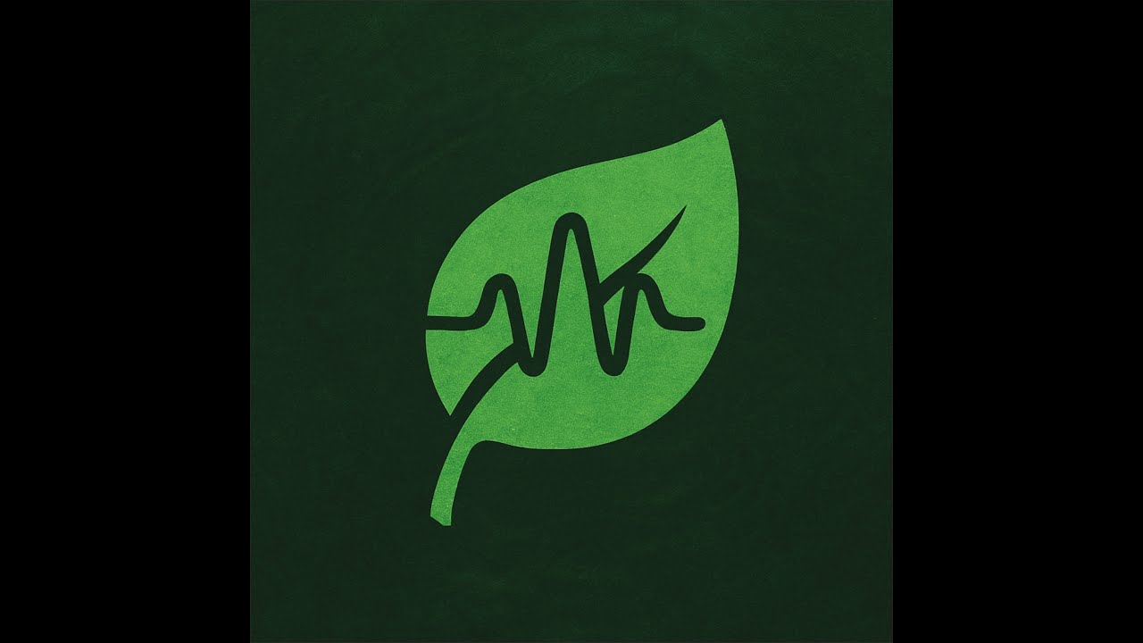 King Subquake - Eco groover