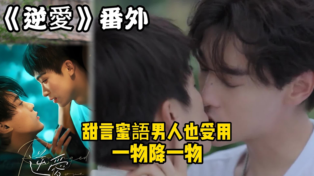 《逆愛》：番外！（11）說話帶點腦子，甜言蜜語男人也受用，一物降一物。#田栩宁 #梓渝 #吴所畏 #池骋 #逆爱 #revenged