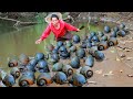 women found and catch snail for food-curry snail for cat & dog- cooking in forest HD