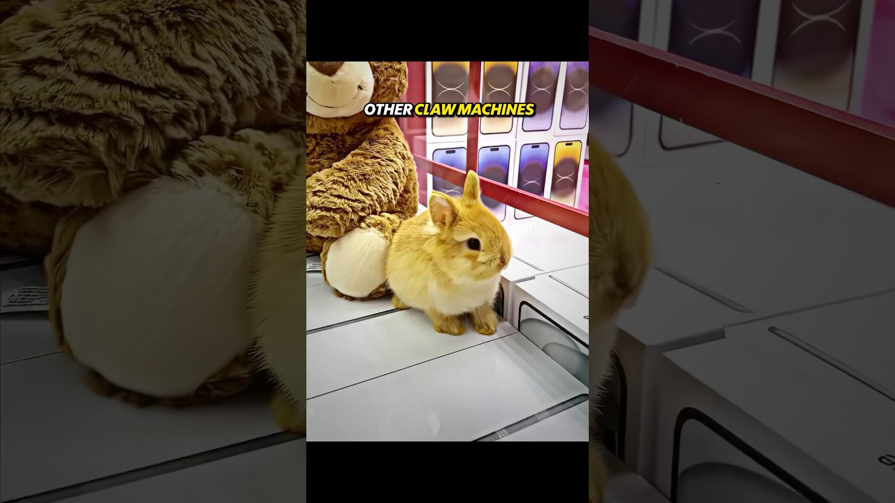 Other Claw Machines vs Last One 💀 