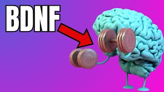 Migliorare la salute del Cervello grazie all'Allenamento screenshot 3