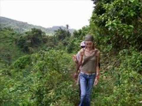 Rainforest hike Paradise Bay to Mt. William in lus...