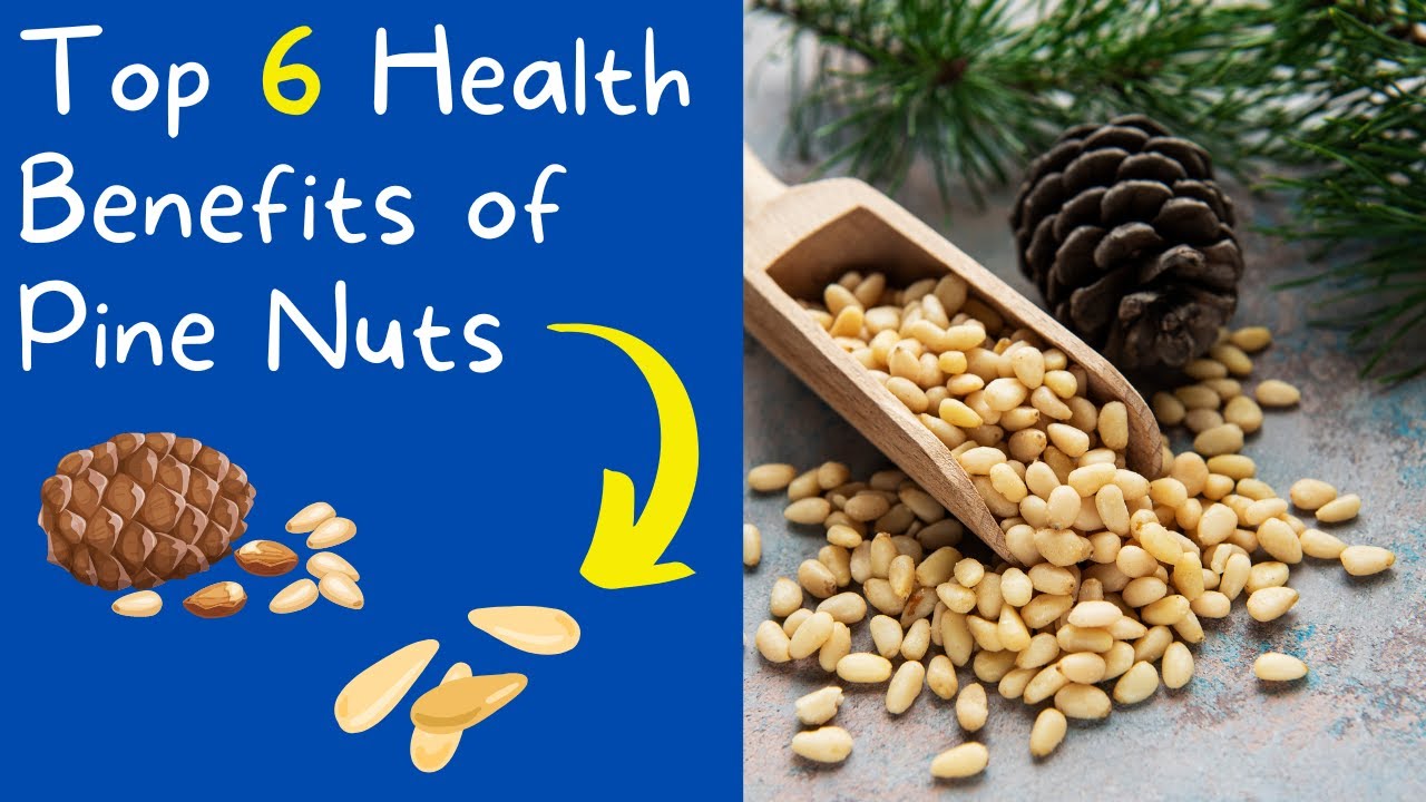 🔸Top 6 Health Benefits of Pine Nuts Benefits of Pine Nuts Pine