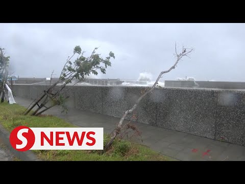 Typhoon Koinu injures nearly 200 people in Taiwan