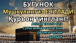 Download Lagu 🔴пул чексиз оқади !! Барча хаёт ташвишларини бир зумга унутиб Қуръон тингланг ! MP3 Download Lagu 🔴пул чексиз оқади !! Барча хаёт ташвишларини бир зумга унутиб Қуръон тингланг ! MP3