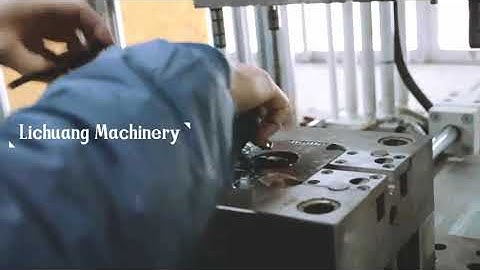 55 ton single slide vertical injection molding machine to make euro plugs