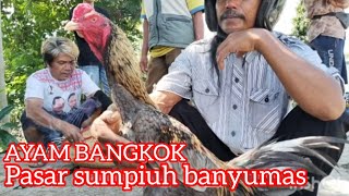 Download Lagu HARGA AYAM BANGKOK HARI INI 25-10-2025 DI PASAR SUMPIUH BANYUMAS MP3 Download Lagu HARGA AYAM BANGKOK HARI INI 25-10-2025 DI PASAR SUMPIUH BANYUMAS MP3