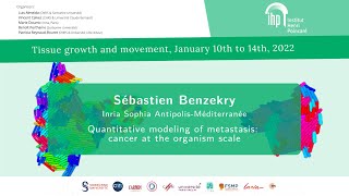 Quantitative modeling of metastasis: cancer at the organism scale