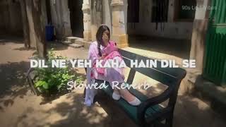 Dil Ne Yeh Kaha Hai Dil Se Slowed Reverb Udit Narayan Alka Yagnik Dhadkan Lofi lofi