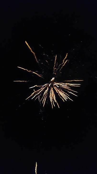 feuerwerk 1 august zürich wo