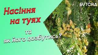 :       ? UA  RUS .