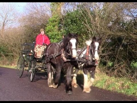 Video: Kas ir četrriteņu zirgu pajūgi?