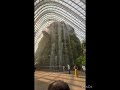 Singapore rain forest