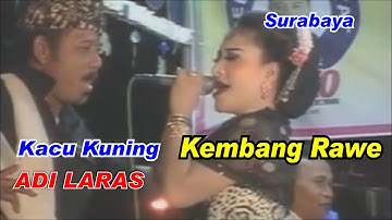 Kacu Kuning _ Kembang Rawe _ Adi Laras Lamongan