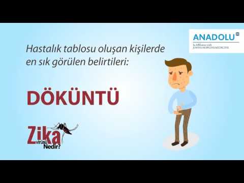 Anadolu Sağlık Merkezi | Zika virüsü nedir?