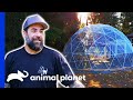 Antonio Builds A Flying Space For 23 Rescued Birds | Animal Cribs